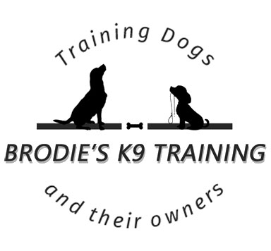 Brodie's K9 Training Edinburgh - Training Dogs and Their Owners